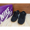 Dunk Low Pro SB 'Fog'